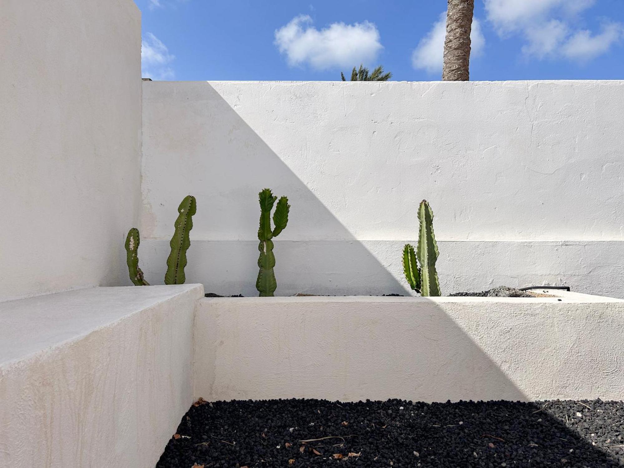 House Boho Palm With Private Heated Pool And Garden, 3 Bedrooms, Wi-Fi Corralejo Extérieur photo